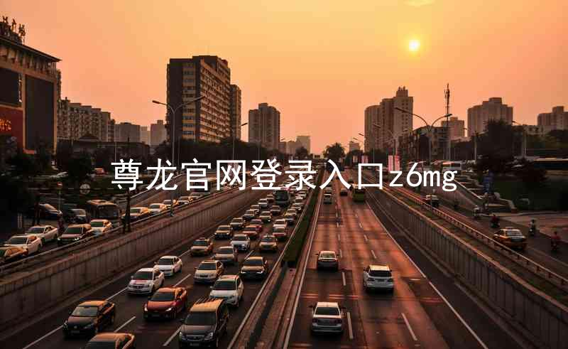 尊龙官网登录入口z6mg