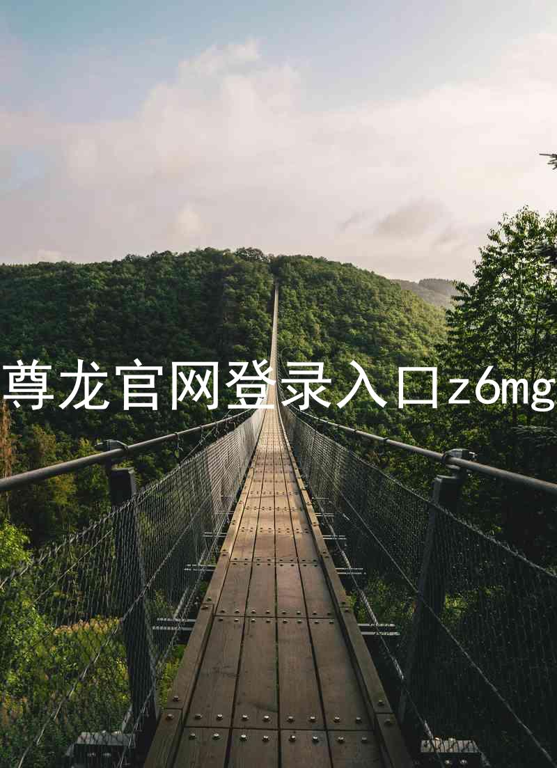 尊龙官网登录入口z6mg
