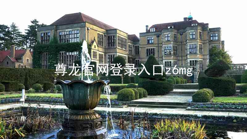 尊龙官网登录入口z6mg