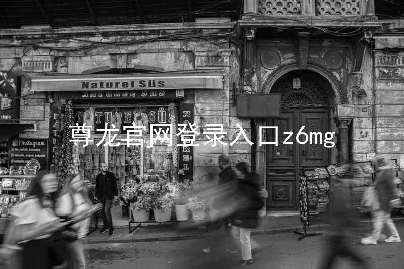 尊龙官网登录入口z6mg